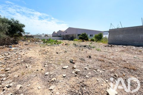 Zemes gabals pārdošanā Daimus, Valencia, Spānijā 1174 m2 Nr. 188007 - attēls 9