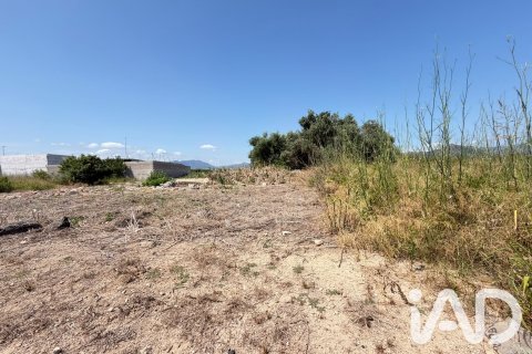 Zemes gabals pārdošanā Daimus, Valencia, Spānijā 1174 m2 Nr. 188007 - attēls 24