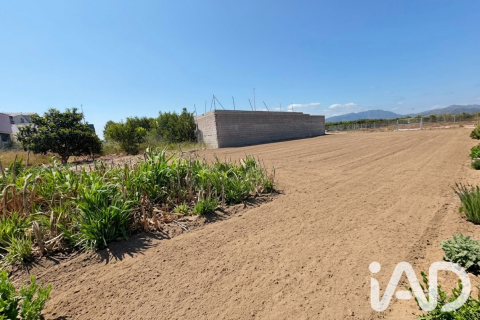 Zemes gabals pārdošanā Daimus, Valencia, Spānijā 1174 m2 Nr. 188007 - attēls 29
