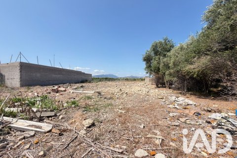 Zemes gabals pārdošanā Daimus, Valencia, Spānijā 1174 m2 Nr. 188007 - attēls 13