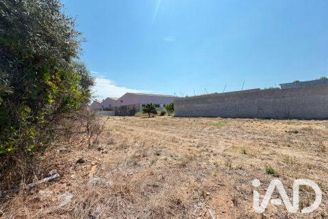 Zemes gabals pārdošanā Daimus, Valencia, Spānijā 1174 m2 Nr. 188007 - attēls 17