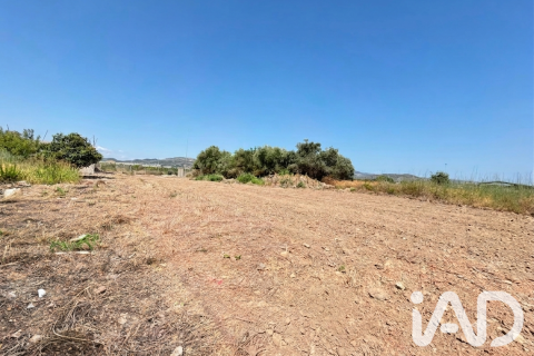 Zemes gabals pārdošanā Daimus, Valencia, Spānijā 1174 m2 Nr. 188007 - attēls 25