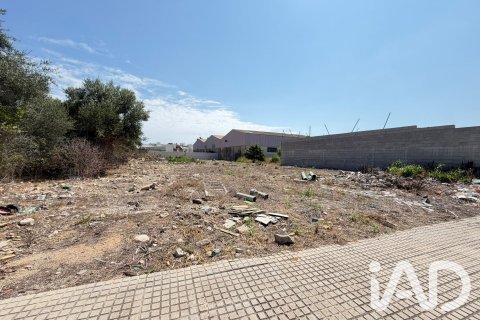 Zemes gabals pārdošanā Daimus, Valencia, Spānijā 1174 m2 Nr. 188007 - attēls 7