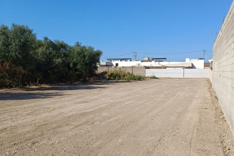 Zemes gabals pārdošanā Daimus, Valencia, Spānijā 1174 m2 Nr. 188007 - attēls 26