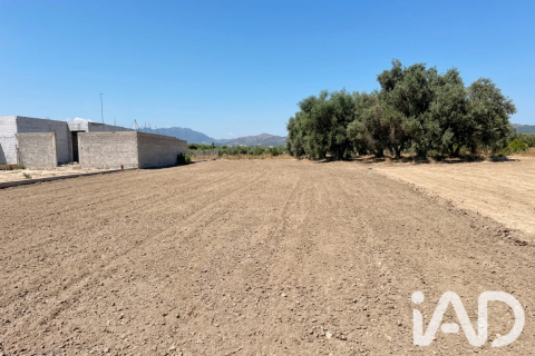 Zemes gabals pārdošanā Daimus, Valencia, Spānijā 1174 m2 Nr. 188007 - attēls 20