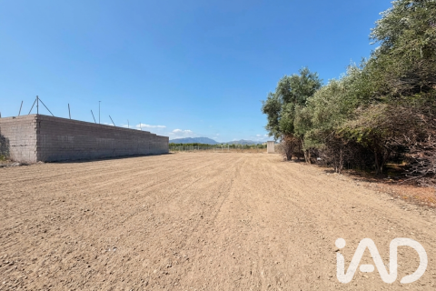 Zemes gabals pārdošanā Daimus, Valencia, Spānijā 1174 m2 Nr. 188007 - attēls 14
