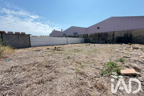 Zemes gabals pārdošanā Daimus, Valencia, Spānijā 1174 m2 Nr. 188007 - attēls 15