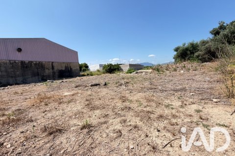 Zemes gabals pārdošanā Daimus, Valencia, Spānijā 1174 m2 Nr. 188007 - attēls 23