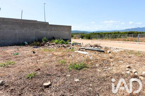 Zemes gabals pārdošanā Daimus, Valencia, Spānijā 1174 m2 Nr. 188007 - attēls 21