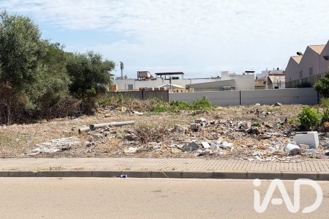 Zemes gabals pārdošanā Daimus, Valencia, Spānijā 1174 m2 Nr. 188007 - attēls 3