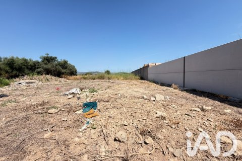 Zemes gabals pārdošanā Daimus, Valencia, Spānijā 1174 m2 Nr. 188007 - attēls 11