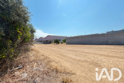 Zemes gabals pārdošanā Daimus, Valencia, Spānijā 1174 m2 Nr. 188007 - attēls 18