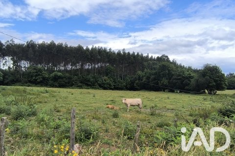House for sale in Valdovino, A Coruna, Spain 246 sq.m. No. 188005 - photo 5