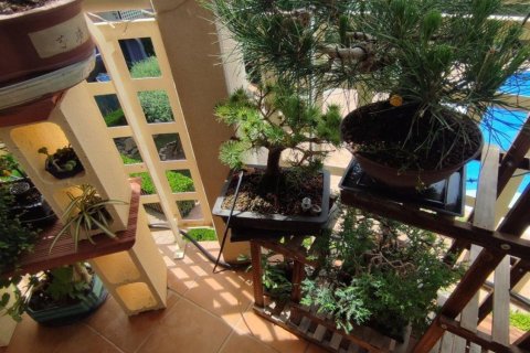 Apartamento en venta en Palamós, Gerona, España 3 dormitorios, No. 140935 - foto 30