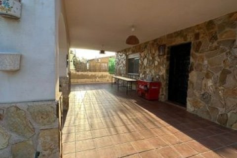 Land zum Verkauf in Molina de Segura, Murcia, Spanien 3600 m2 Nr. 172363 - Foto 21