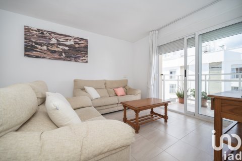 Apartment à vendre à Ibiza town, Ibiza, Espagne, 3 chambres, 856 m2 No. 153609 - photo 3