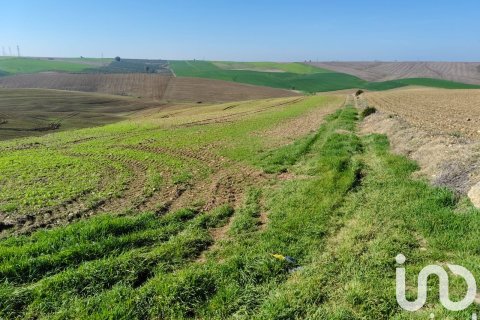 Liikekiinteistö myytävänä Ecija, Seville, Espanja , No. 153608 - kuva 4