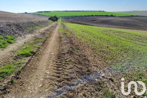 Liikekiinteistö myytävänä Ecija, Seville, Espanja , No. 153608 - kuva 5