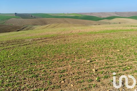 Liikekiinteistö myytävänä Ecija, Seville, Espanja , No. 153608 - kuva 9