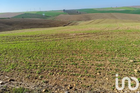 Liikekiinteistö myytävänä Ecija, Seville, Espanja , No. 153608 - kuva 10