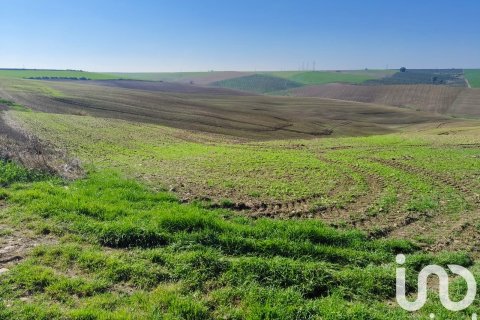 Liikekiinteistö myytävänä Ecija, Seville, Espanja , No. 153608 - kuva 2