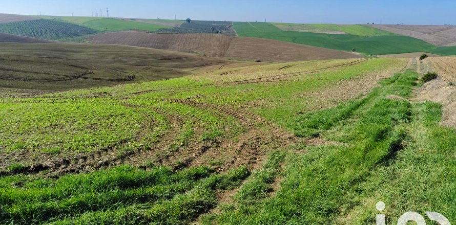 Liikekiinteistö Ecija, Seville, Espanja No. 153608