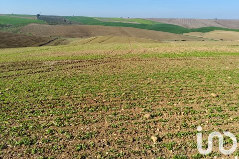 Liikekiinteistö myytävänä Ecija, Seville, Espanja , No. 153608 - kuva 6