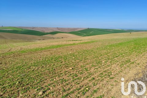 Liikekiinteistö myytävänä Ecija, Seville, Espanja , No. 153608 - kuva 8