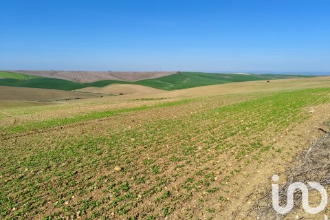 Liikekiinteistö myytävänä Ecija, Seville, Espanja , No. 153608 - kuva 7