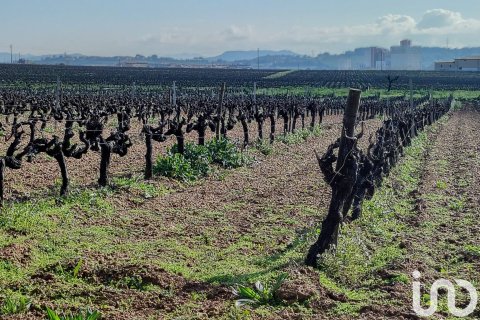 Tontti myytävänä Santa Margarida i els Monjos, Barcelona, Espanja , 1255 m2 No. 153604 - kuva 2