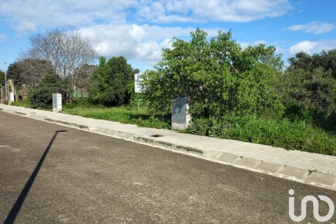 Tontti myytävänä Santa Margarida i els Monjos, Barcelona, Espanja , 1255 m2 No. 153604 - kuva 3