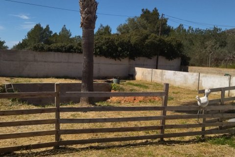 Māja pārdošanā San Antonio De Portmany, Ibiza, Spānijā 5 istabas, 836 m2 Nr. 153607 - attēls 18