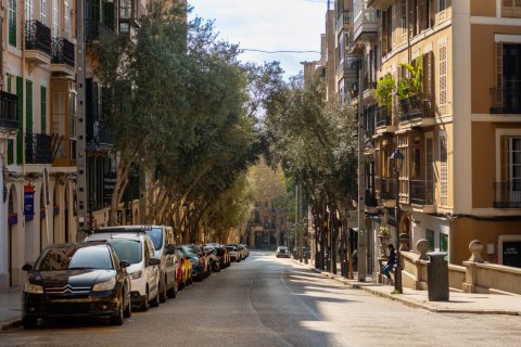 Apartamento en venta en Palma de Mallorca, Mallorca, España 1 dormitorio, 35 m2 No. 160934 - foto 17