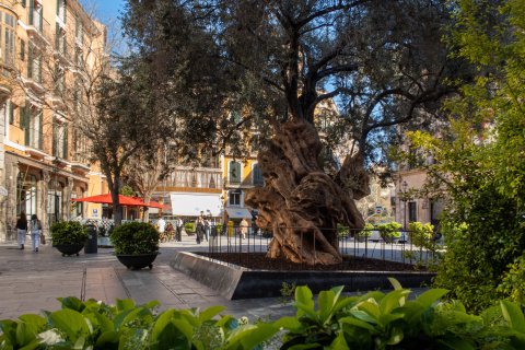 Apartamento en venta en Palma de Mallorca, Mallorca, España 2 dormitorios, 119 m2 No. 160933 - foto 23