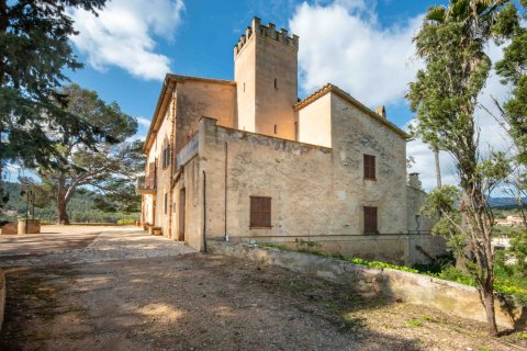 Finca en venta en Mallorca, España 6 dormitorios, 1065 m2 No. 160930 - foto 27