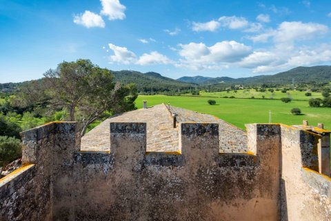 Finca en venta en Mallorca, España 6 dormitorios, 1065 m2 No. 160930 - foto 22