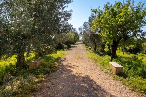 Finca en venta en Mallorca, España 6 dormitorios, 1065 m2 No. 160930 - foto 16