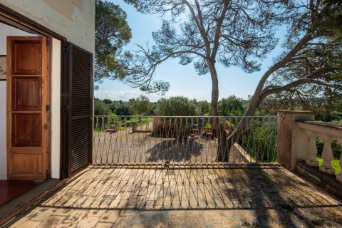 Finca en venta en Mallorca, España 6 dormitorios, 1065 m2 No. 160930 - foto 15