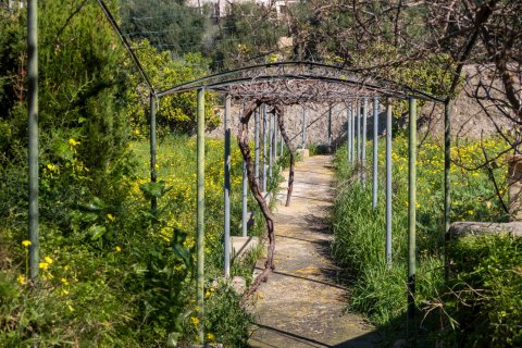 Finca en venta en Mallorca, España 6 dormitorios, 1065 m2 No. 160930 - foto 20