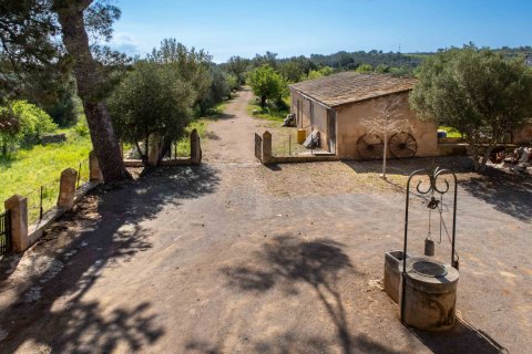 Finca en venta en Mallorca, España 6 dormitorios, 1065 m2 No. 160930 - foto 28