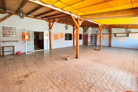 Commercial property for sale in Torrevieja, Alicante, Spain 6 bedrooms, 270 sq.m. No. 151829 - photo 2