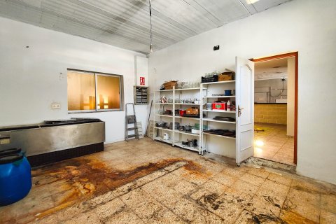 Commercial property for sale in Torrevieja, Alicante, Spain 6 bedrooms, 270 sq.m. No. 151829 - photo 27