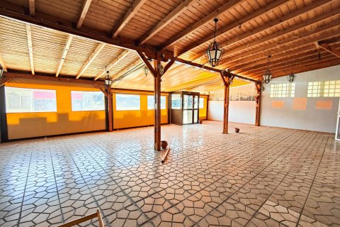 Commercial property for sale in Torrevieja, Alicante, Spain 6 bedrooms, 270 sq.m. No. 151829 - photo 4