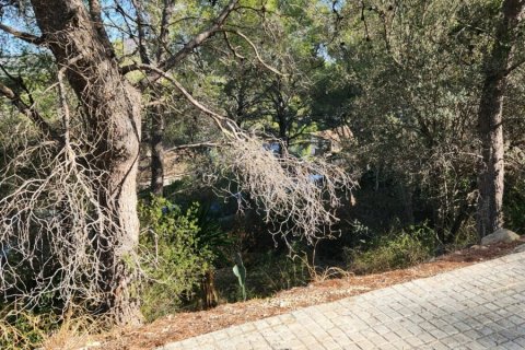 Земельный участок в Кубельес, Барселона, Испания 1860м2 №154165