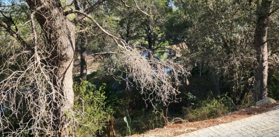 Terreno a Cubelles, Barcelona, Spagna 1860 mq. N° 154165