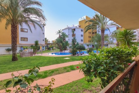 Appartamento in affitto a Punta Prima, Alicante, Spagna 2 camere da letto, 70 mq. N° 144732 - foto 1