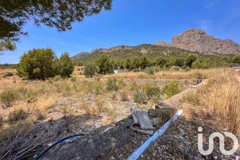 Terreno in vendita a Polop, Alicante, Spagna 38000 mq. N° 153358 - foto 21