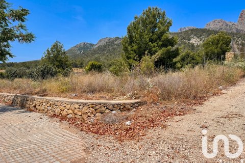 Terreno in vendita a Polop, Alicante, Spagna 38000 mq. N° 153358 - foto 6