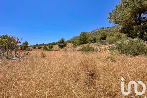 Terreno in vendita a Polop, Alicante, Spagna 38000 mq. N° 153358 - foto 12