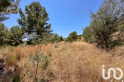 Terreno in vendita a Polop, Alicante, Spagna 38000 mq. N° 153358 - foto 13